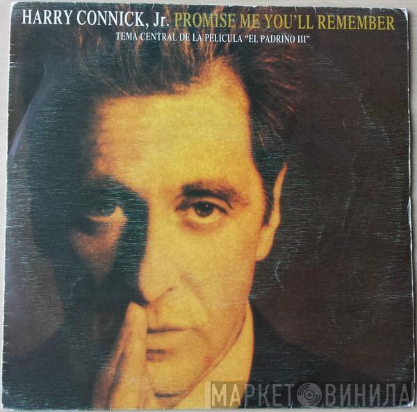 Harry Connick, Jr. - Promise Me You'll Remember