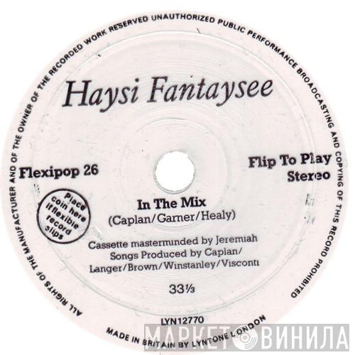 Haysi Fantayzee - In The Mix