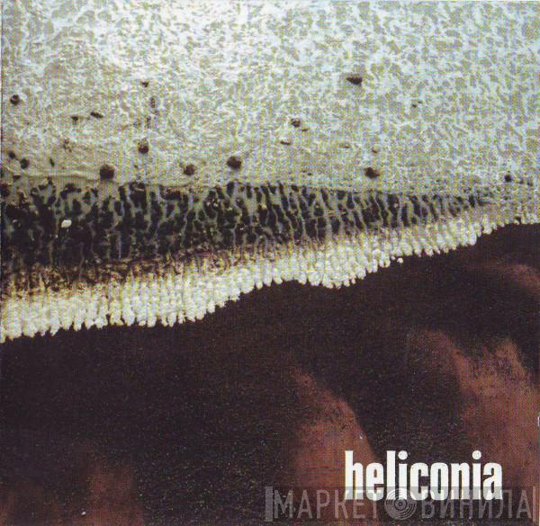 Heliconia - Glad You Were Born