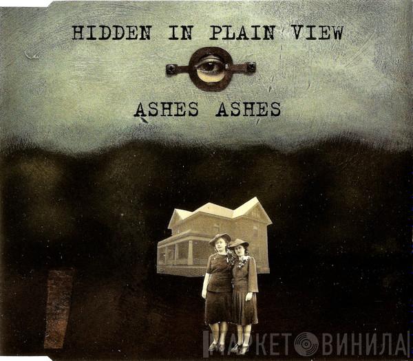 Hidden In Plain View - Ashes Ashes