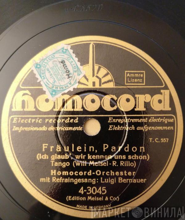  Homocord Orchester  - Fräulein, Pardon / Wenn Du Einmal Dein Herz Verschenkst, Dann Schenk' Es Mir