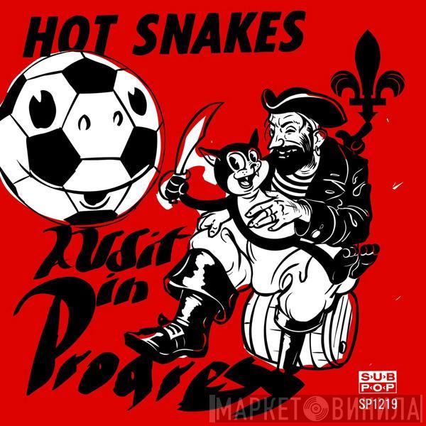  Hot Snakes  - Audit In Progress