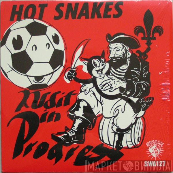 Hot Snakes  - Audit In Progress
