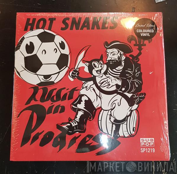 Hot Snakes - Audit In Progress