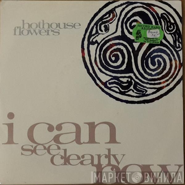 Hothouse Flowers - I Can See Clearly Now
