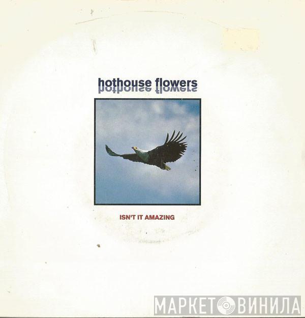 Hothouse Flowers - Isn't It Amazing