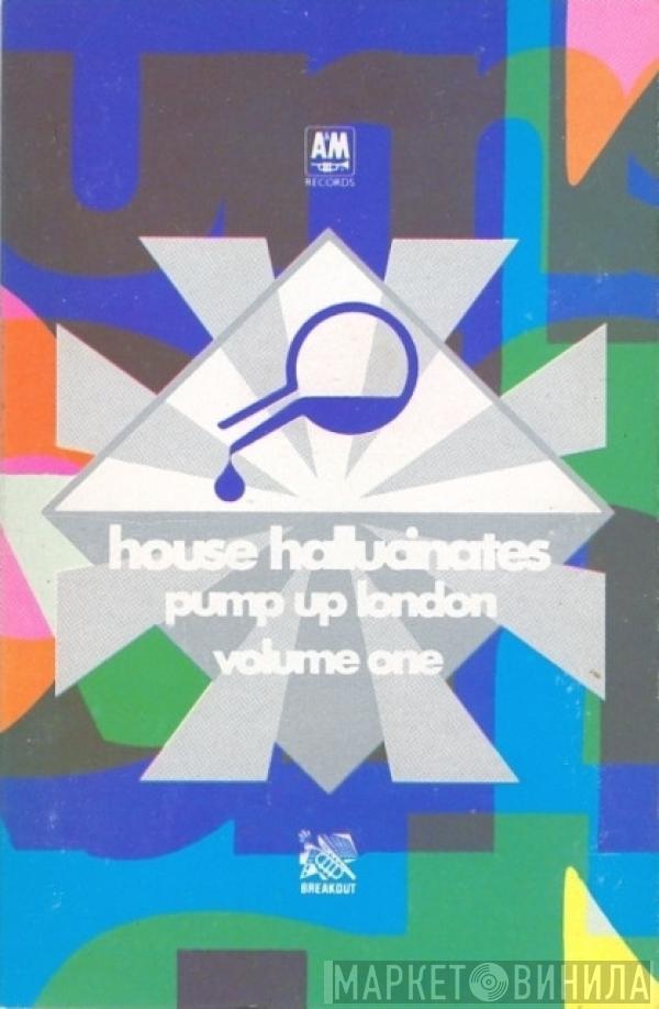  - House Hallucinates Pump Up The World Volume One