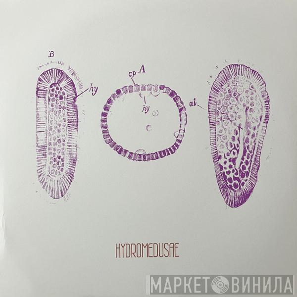 Hydromedusae - Hydromedusae