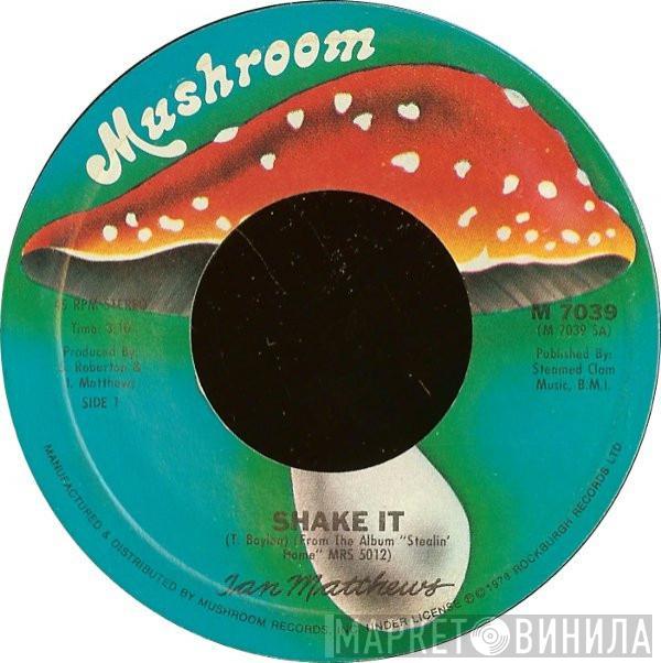 Iain Matthews - Shake It