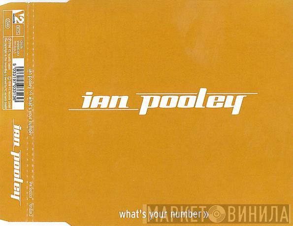 Ian Pooley - What's Your Number