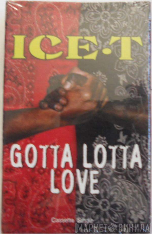  Ice-T  - Gotta Lotta Love