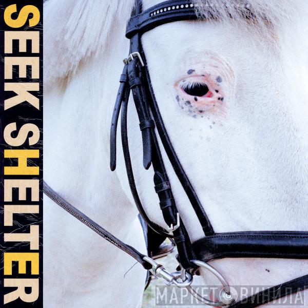  Iceage  - Seek Shelter