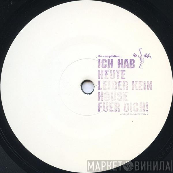  - Ich Hab Heute Leider Kein House Fuer Dich! (Vinyl Sampler Vol. 2)