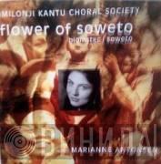 Imilonji Kantu Choral Society - Flower Of Soweto