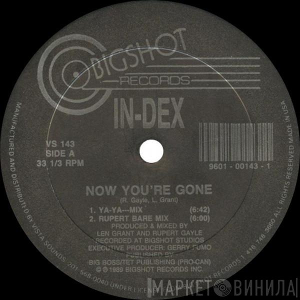 In-Dex - Now You're Gone