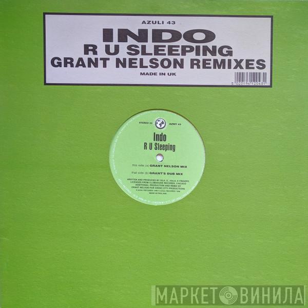Indo - R U Sleeping (Grant Nelson Remixes)