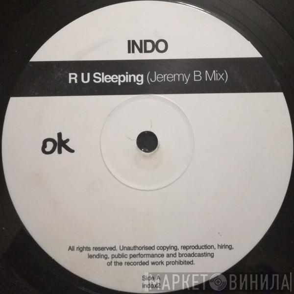 Indo - R U Sleeping