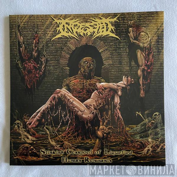 Ingested - Stinking Cesspool Of Liquefied Human Remnants
