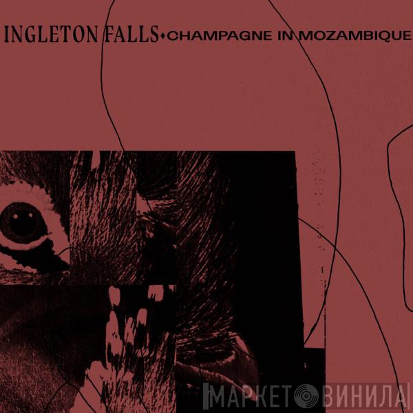 Ingleton Falls - Champagne In Mozambique
