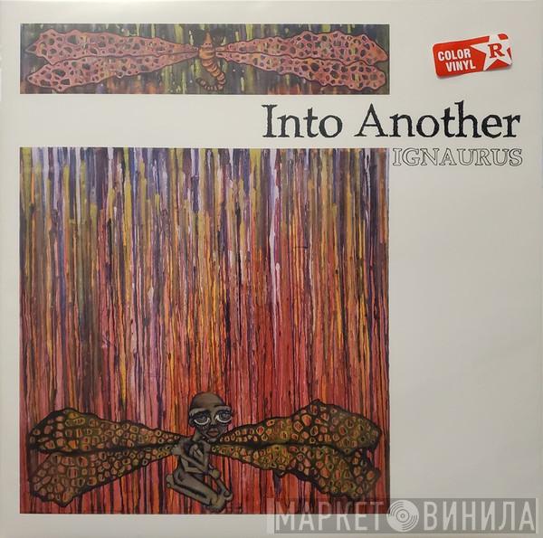 Into Another - Ignaurus