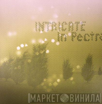 Intricate - In Pectra