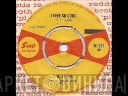 J. B. Lenoir And His African Hunch Rhythm - I Sing Um The Way I Feel
