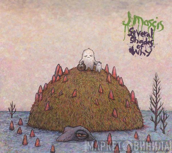 J Mascis - Several Shades Of Why