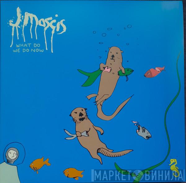 J Mascis - What Do We Do Now