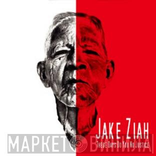 Jake Ziah - These Days Do You No Justice