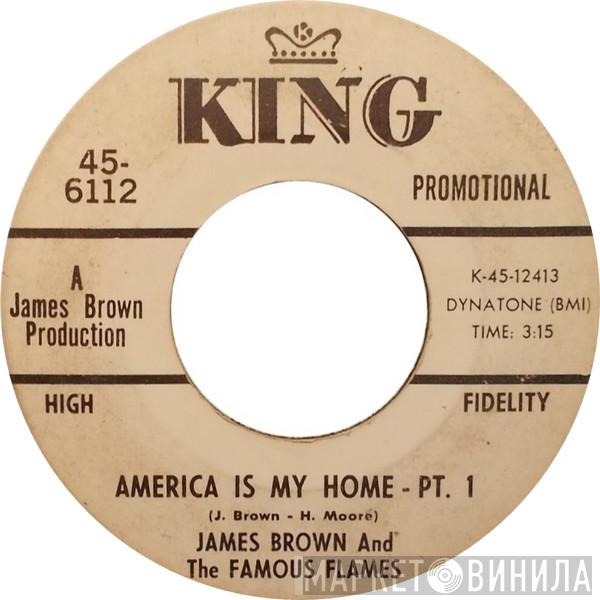 James Brown & The Famous Flames - America Is My Home