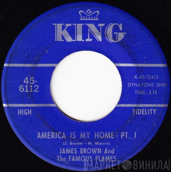 James Brown & The Famous Flames - America Is My Home