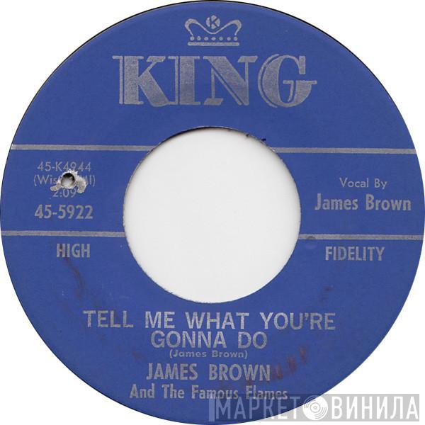 James Brown & The Famous Flames - Tell Me What You're Gonna Do / Come Over Here