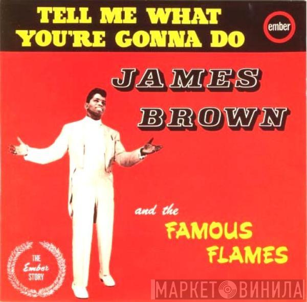 James Brown & The Famous Flames - Tell Me What You're Gonna Do