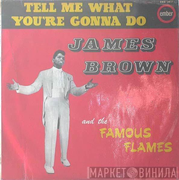James Brown & The Famous Flames - Tell Me What You're Gonna Do