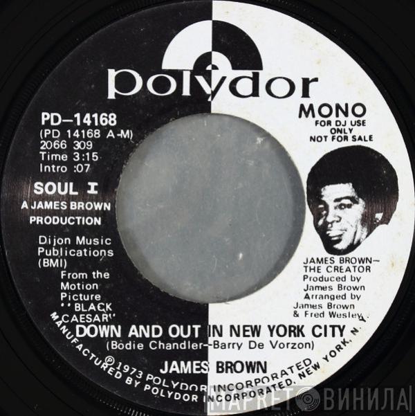 James Brown - Down And Out In New York City