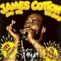James Cotton And His Big Band - Live From Chicago - Mr. Superharp Himself!