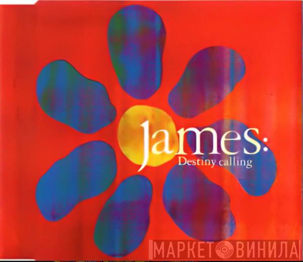 James - Destiny Calling