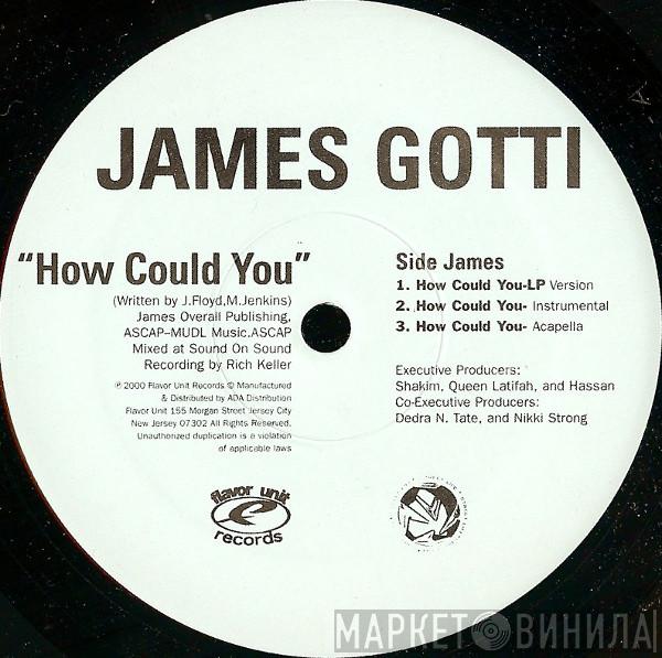 James Gotti - How Could You / Raise 'Em Up