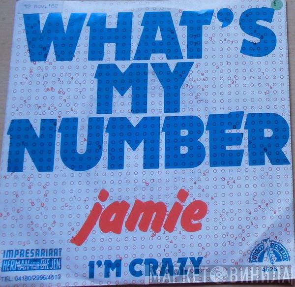 Jamie  - What's My Number