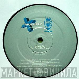 Java & Jan - You Drive Me Crazy