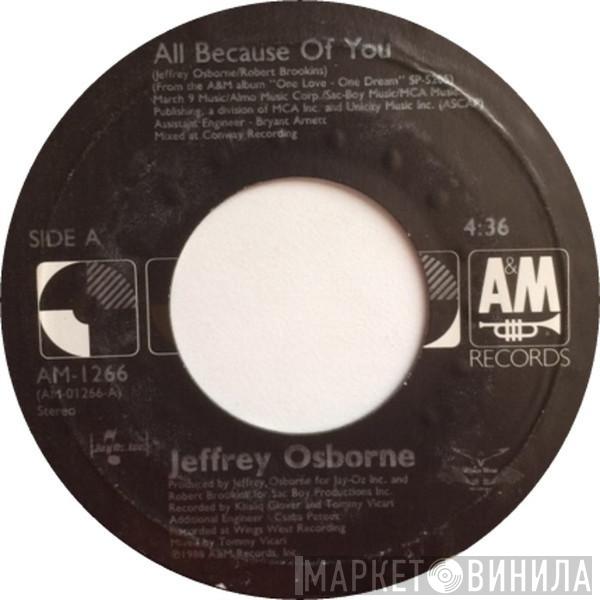 Jeffrey Osborne - All Because Of You