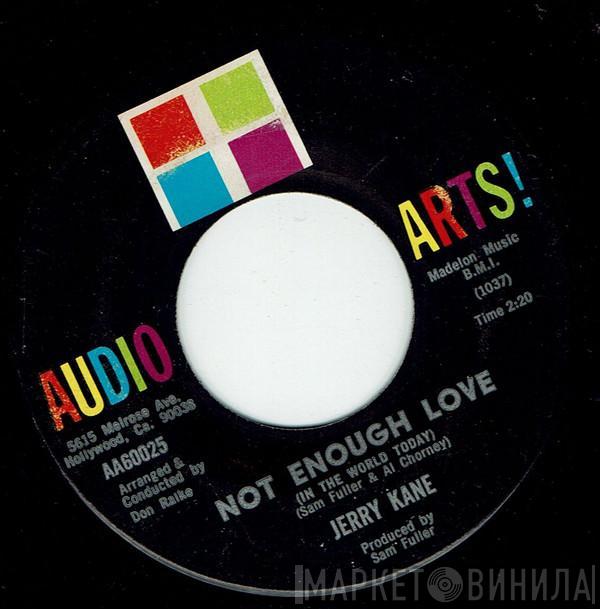 Jerry Kane - Not Enough Love / What Does A Bird Do