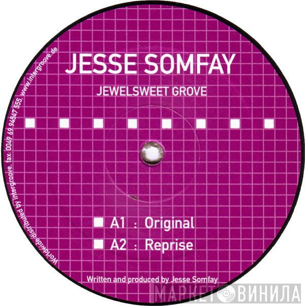  Jesse Somfay  - Jewelsweet Grove