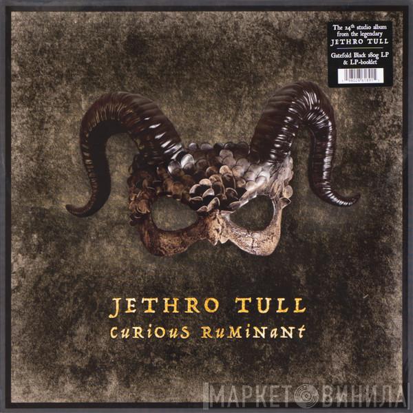 Jethro Tull - Curious Ruminant