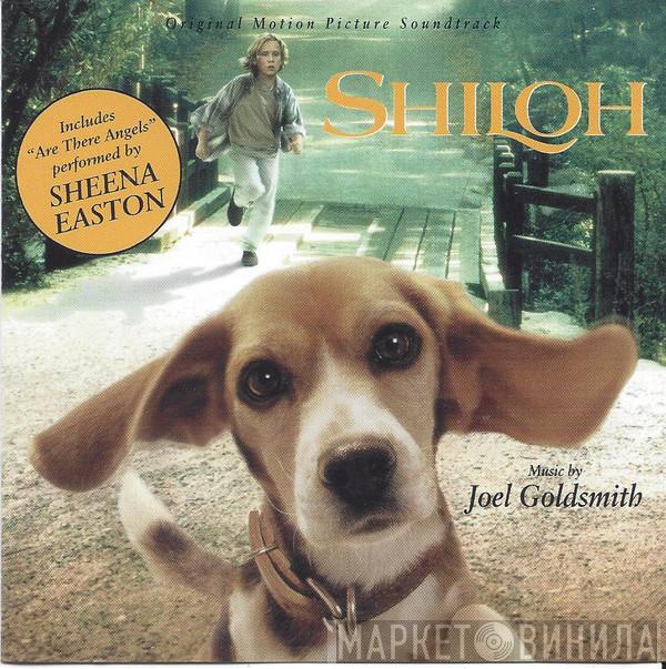  Joel Goldsmith  - Shiloh