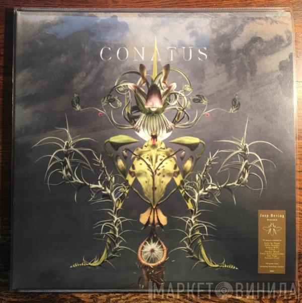 Joep Beving - Conatus