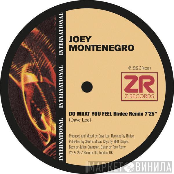  Joey Negro  - Do What You Feel (Birdee Remix)