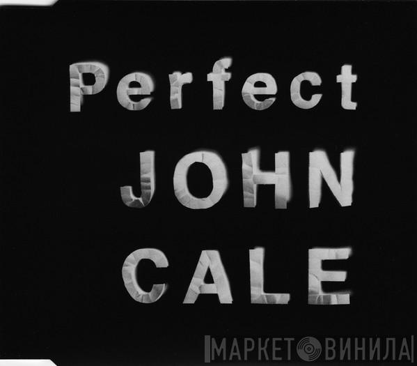 John Cale - Perfect