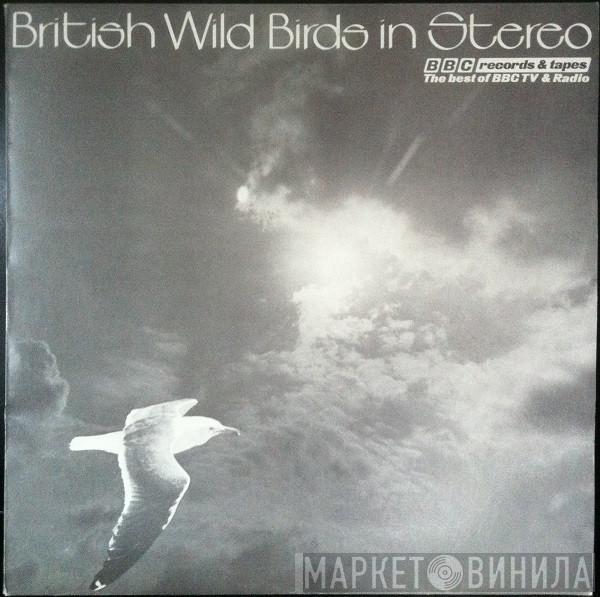 John F. Burton, David Tombs - British Wild Birds In Stereo