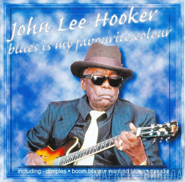 John Lee Hooker - Blues Is My Favourite Colour